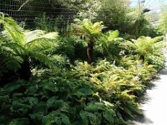 101PARC AUX OISEAUX DANS L AIN 2016 2_000009